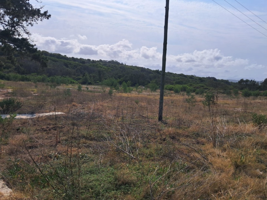  Bedroom Property for Sale in Tergniet Western Cape